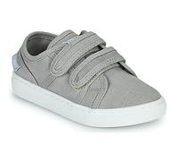 Primigi Shoes (Trainers) 1960144 in Grey 2 kid