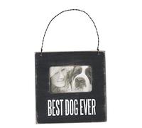 Primitives by Kathy Photo Box Frame, Wood, Glass, Metal, Best Dog Ever, 4.5" x 4.5"
