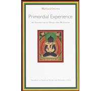 Primordial Experience: An Introduction to Dzog-chen Meditation (Introduction to Rdzogs-Chen Meditation)
