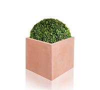 Primrose 23Cm Terracotta Fibrecotta Small Cube Planter