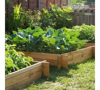 Primrose 248L Chamberlain Garden Wooden Raised Grow Bed 155Cm X 80Cm
