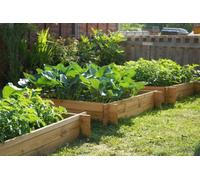 Primrose 270L Chamberlain Garden Wooden Raised Grow Bed 100Cm X 100Cm