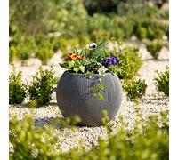 Primrose 30cm Bowl Ridged Plastic Planter in Beige or Grey 30cm (11.8in)