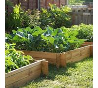 Primrose 350L The Chamberlain Wooden Raised Grow Bed Flower Bed Height 35cm 100cm²