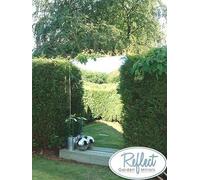 Primrose 6ft x 2ft 6in Large Silver Acrylic Mirror - by Reflect™ Primrose Silver