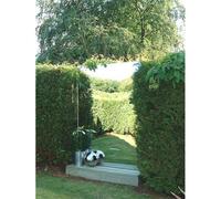 Primrose Acrylic Non Shatter Outdoor Wall Mounted Rectangular Silver Garden Illusion Mirror 120Cm X 60Cm