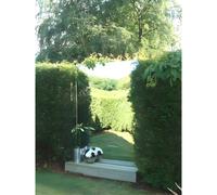 Primrose Acrylic Non Shatter Outdoor Wall Mounted Rectangular Silver Garden Illusion Mirror 182Cm X 75Cm