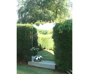 Primrose Acrylic Non Shatter Outdoor Wall Mounted Rectangular Silver Garden Illusion Mirror 182Cm X 75Cm