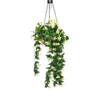 Primrose Duranta Artificial Hanging Baskets with Solar Light - 4 Colours (White, One)