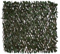 Primrose Artificial English Ivy Extendable Trellis Hedge Screening 2.0m x 1.0m in Green Primrose Green