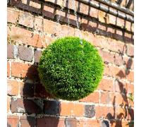Primrose Artificial Grass Effect Hanging Topiary Ball With Chain 28cm in Green Primrose Green