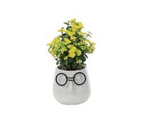 Primrose Artificial House Plant In White Pot With Black Glasses Design 17Cm
