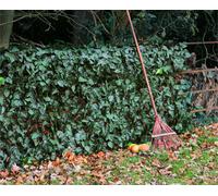 Primrose Artificial Ivy Leaf Screening Hedge Roll Privacy Screen W3M X H1.5M