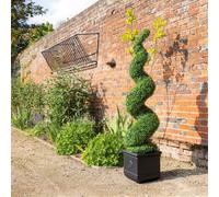 Primrose Artificial Topiary Grass Spiral Swirl Bush 150cm in Green Primrose Green