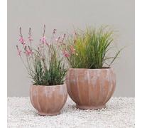 Primrose Carra Round Terracotta Planter in Orange | Size: Large Primrose Orange L