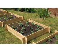 Primrose Chamberlain Rectangular Wooden Raised Grow Bed 155 x 80 x 20cm in Beige | Size: 155 x 80 x 20 cm Primrose Beige 155 x 80 x 20 cm