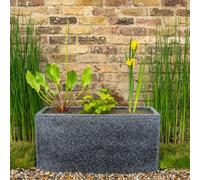 Primrose Complete Pond In A Pot Kit With Fibreglass Trough Planter In Black 40Cm