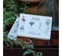 Primrose Edible Flower Collection Gift Set Seed Collection