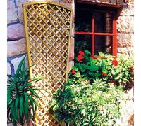 Primrose English Fan Design Trellis Outdoor Garden Wall Privacy 1.83m x 0.8m in Natural Primrose Natural