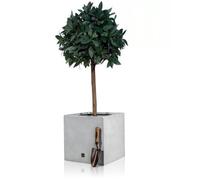 Primrose Fibreglass Cube Gloss Planter In Silver 50Cm