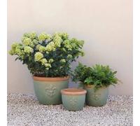Primrose Fiore Fleur De Lys Patterned Ceramic Planter In Green 20Cm