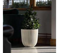 Primrose Flower Pot Round Ridged Plastic Planter in Brown 38cm Primrose Brown