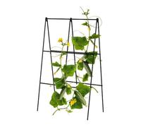 Primrose Folding A-Frame Cucumber Trellis in Powder Coated Steel Black 100cm Primrose Black