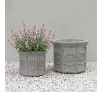 Primrose Galgano Hexagon Shaped Concrete Planter in Grey | Size: Small Primrose Grey S
