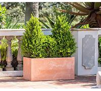 Primrose Garden Outdoor Fibrecotta Terracotta Trough Rectangular Planter Small 20cm³ (7¾in³)