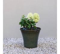 Primrose Glazed Green Ceramic Look Tapered Outdoor Garden Planter 35Cm