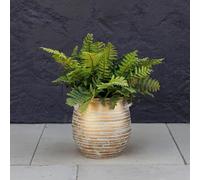 Primrose Terracotta Siena Nautilus Ammonites Shell Fossil Themed Planter 23Cm