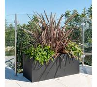 Primrose Gunmetal Black Galvanised Zinc Rectangular Garden Planter Plant Pot Medium 64cm x 32cm (25in x 12.5in)