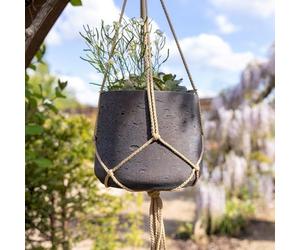 Primrose H17cm Brown Cement Round Planter Hanging Patio Flower Pot