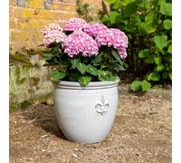 Primrose H30cm Stoneware Round Planter In Cream Garden Patio Flower Pot