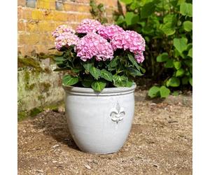 Primrose H40cm Stoneware Round Planter In Cream Garden Patio Flower Pot