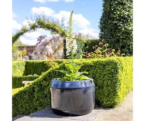 Primrose H41cm Stoneware Round Planter In Blue Garden Patio Flower Pot