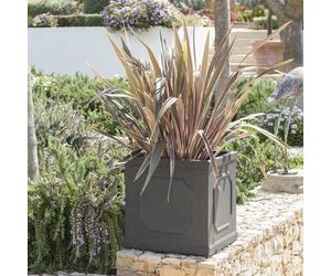 Primrose H45cm Buckingham Lead Effect Framed Cube Planter - By Terra Pot in Grey Primrose Grey