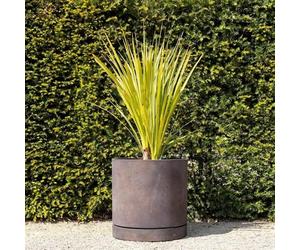 Primrose H50cm Bronze Limestone Round Planter Garden Patio Flower Pot with Saucer