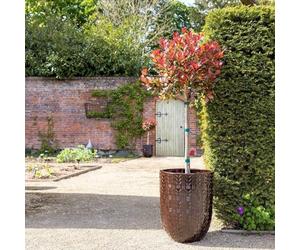 Primrose H50cm Glazed Terracotta Planter In Coffee Garden Patio Flower Pot