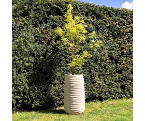 Primrose H59cm Terracotta Tall Round Planter In Cream Garden Patio Flower Pot