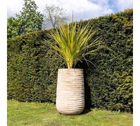 Primrose H80cm Terracotta Tall Round Planter In Cream Garden Patio Flower Pot