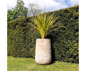Primrose H80cm Terracotta Tall Round Planter In Cream Garden Patio Flower Pot