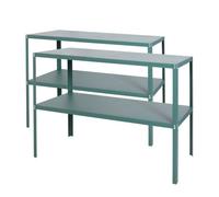 Lacewing 118cm Essential 2 Tier Greenhouse Staging Potting Bench Tool Storage Rack Shelves Green (Pack of 2)