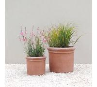 Primrose Massa Cylindrical Terracotta Planter in Orange | Size: Large Primrose Orange L