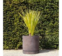 Primrose Matte Bronze Limestone Round Planter Pot With Saucer 50Cm