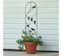 Primrose Metal Perching Birds Design Pot Trellis In Black 101Cm