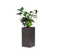 Primrose Metallic Grey Polystone Tall Cubic Outdoor Garden Planter 60cm in Dark Grey Primrose Dark Grey