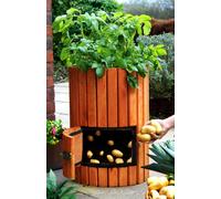 Primrose Original Wooden Potato Barrel Storage 60cm in Beige Primrose Beige