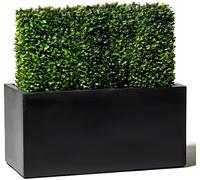 Primrose Outdoor Small Terracotta Fibrecotta Dark Grey Trough Planter Pot 50cm (19.7in)