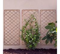 Primrose Pack of 3 Square Natural Willow Garden Trellis Panel 150cm x 45cm in Brown | Size: 150 cm x 45 cm Primrose Brown 150 cm x 45 cm